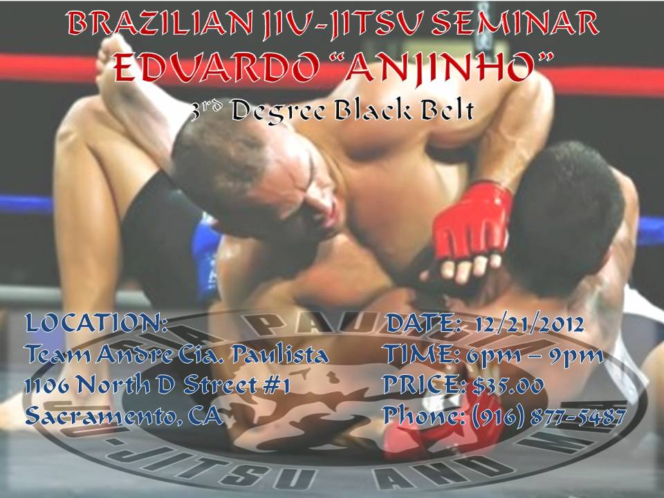 BJJ SEMINAR